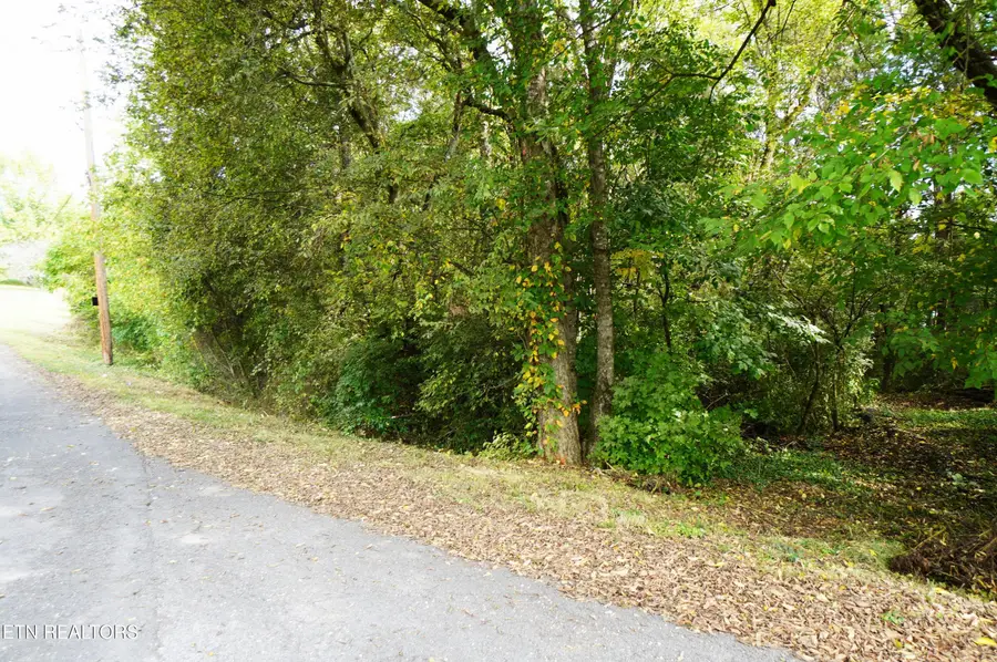 Lots 15 West View Drive, Strawberry Plains, TN 37871 - #2