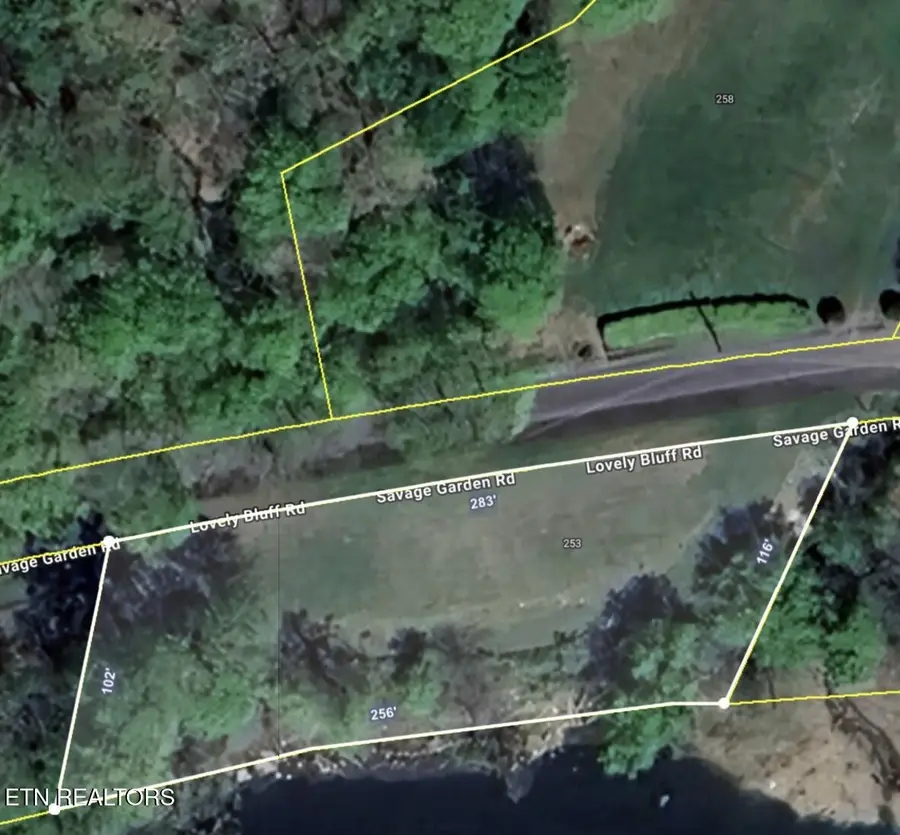 Lovely Bluff Rd, Rocky Top, TN 37769 - #2