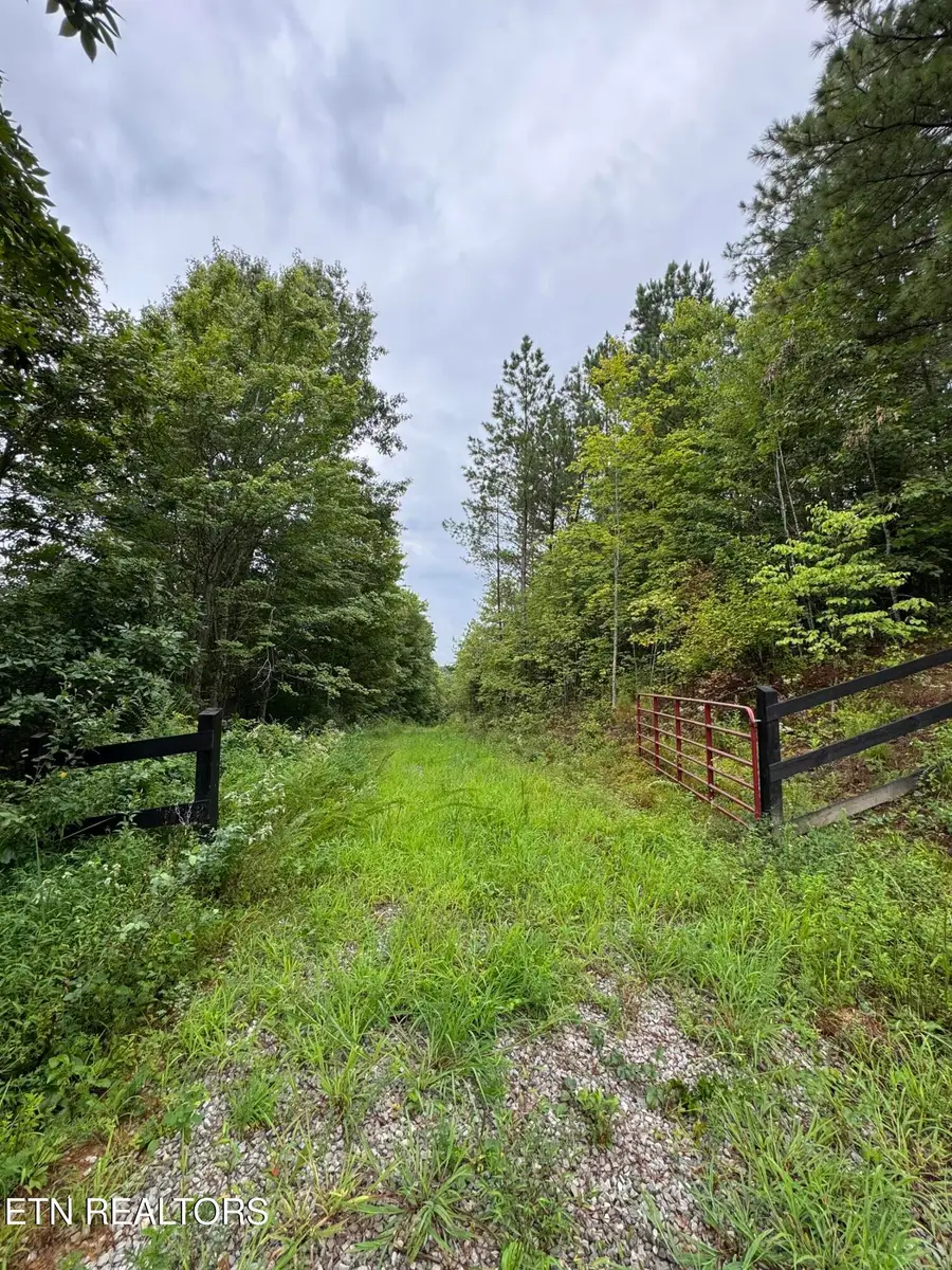 0 Higby Pvt Rd, Robbins, TN 37852 - #2