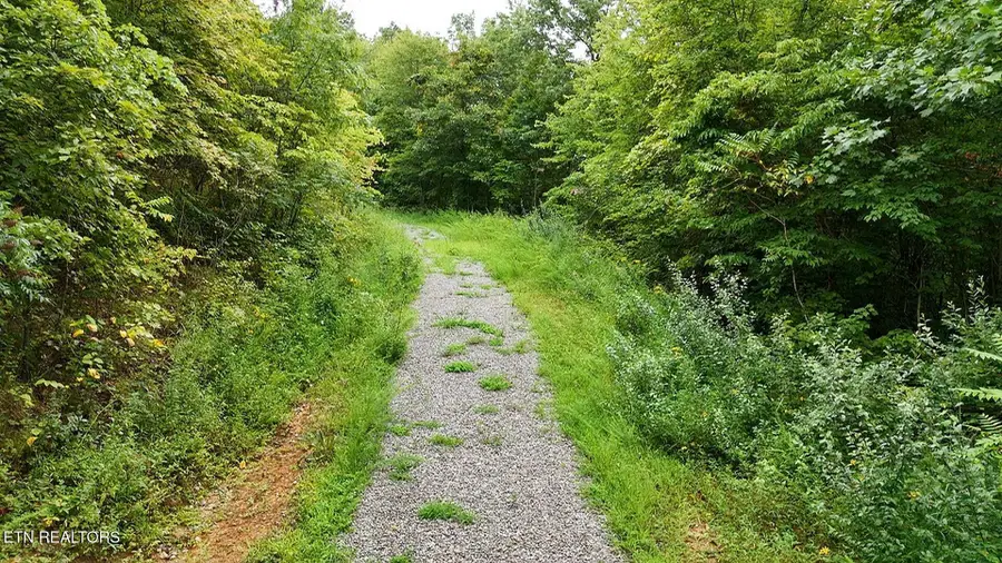 0 Higby Pvt Rd, Robbins, TN 37852 - #3