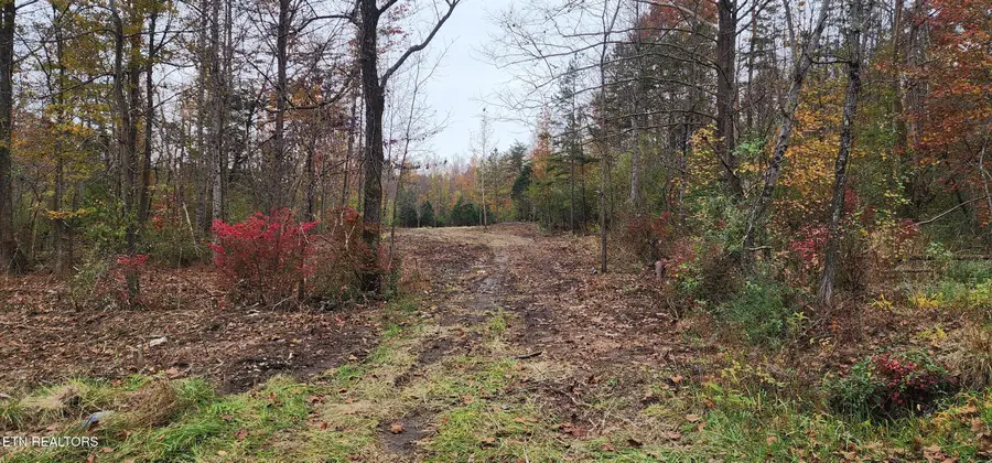 Edward Smith Rd, Robbins, TN 37852 - #2