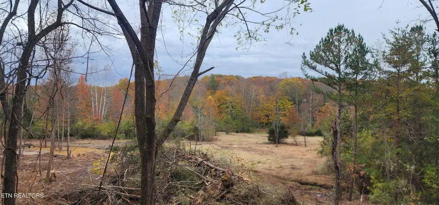 Edward Smith Rd, Robbins, TN 37852 - #3