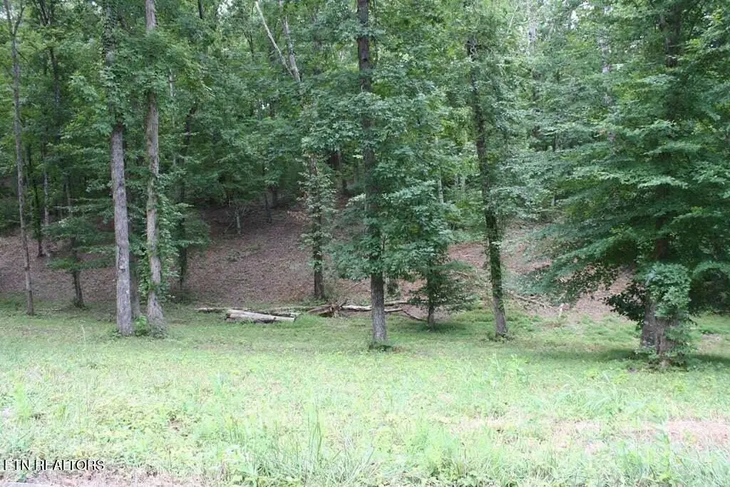 Lot 6 Cypress Drive, Dandridge, TN 37725 - #1