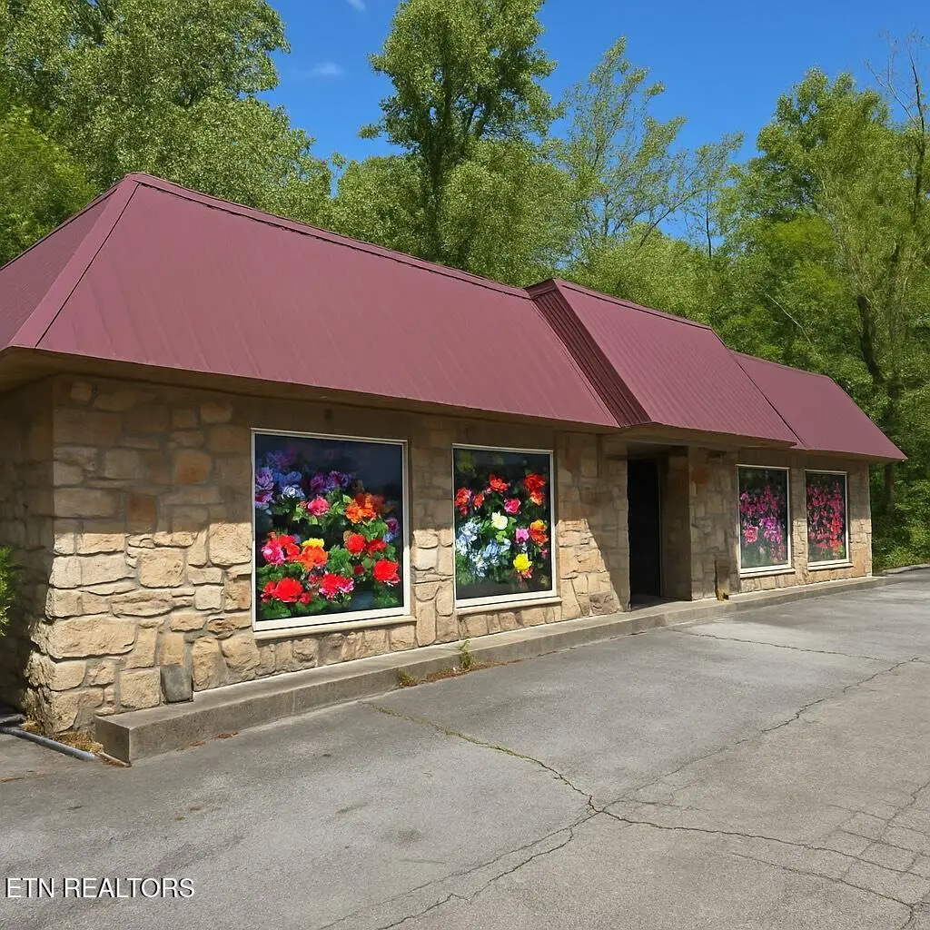 4390 Cosby Hwy, Cosby, TN 37722 - #1