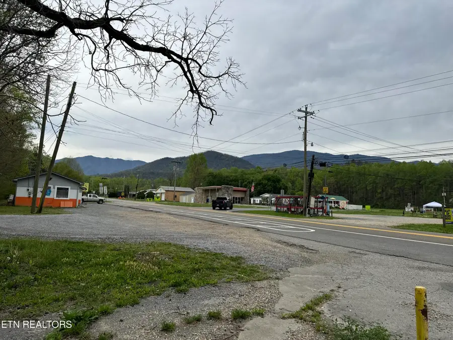 4390 Cosby Hwy, Cosby, TN 37722 - #2