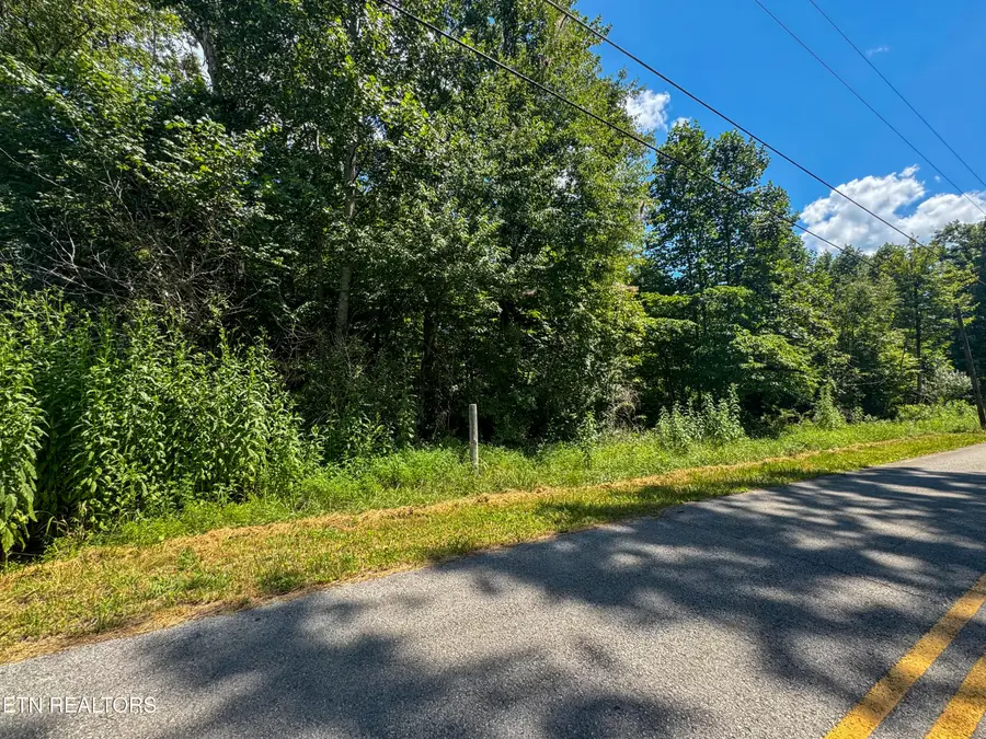 Burch Lane, Winfield, TN 37892 - #2