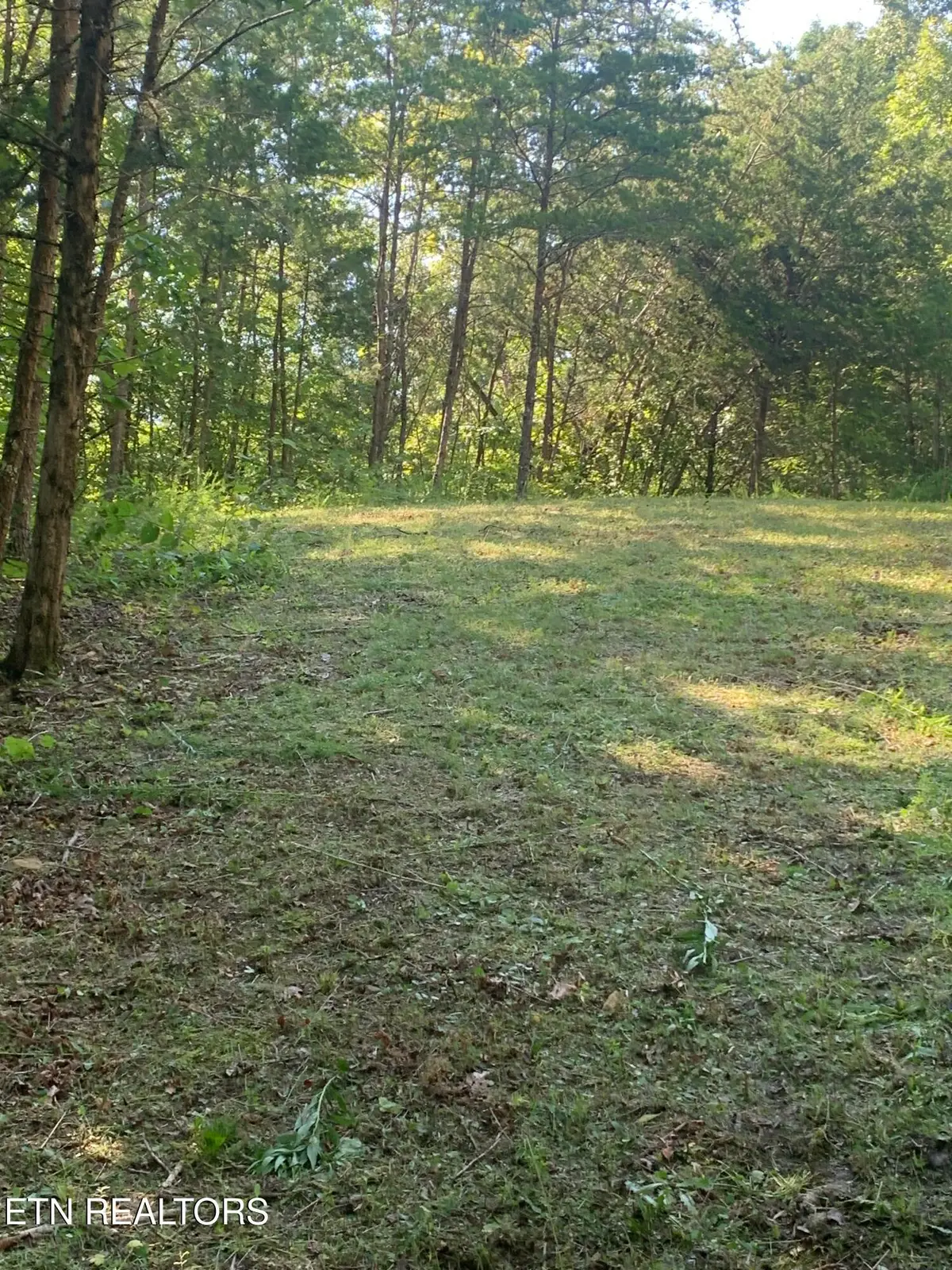 Vera Lane, Dandridge, TN 37725 - #1