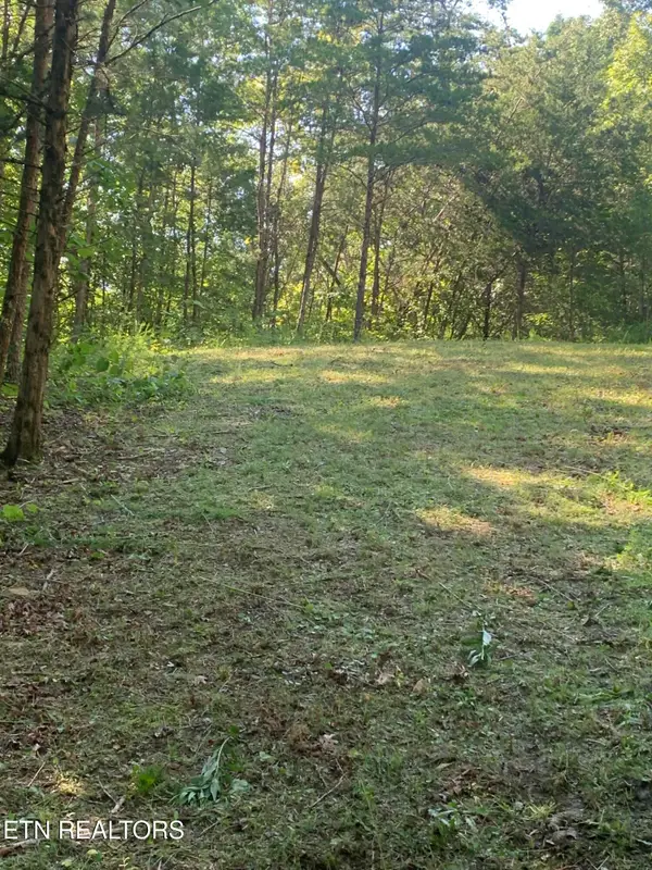 Vera Lane, Dandridge, TN 37725