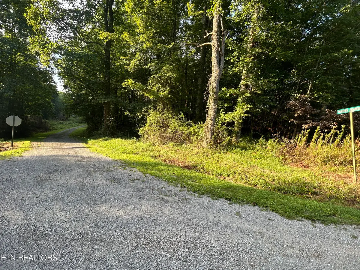Panther Branch Road, Jamestown, TN 38556 - #1