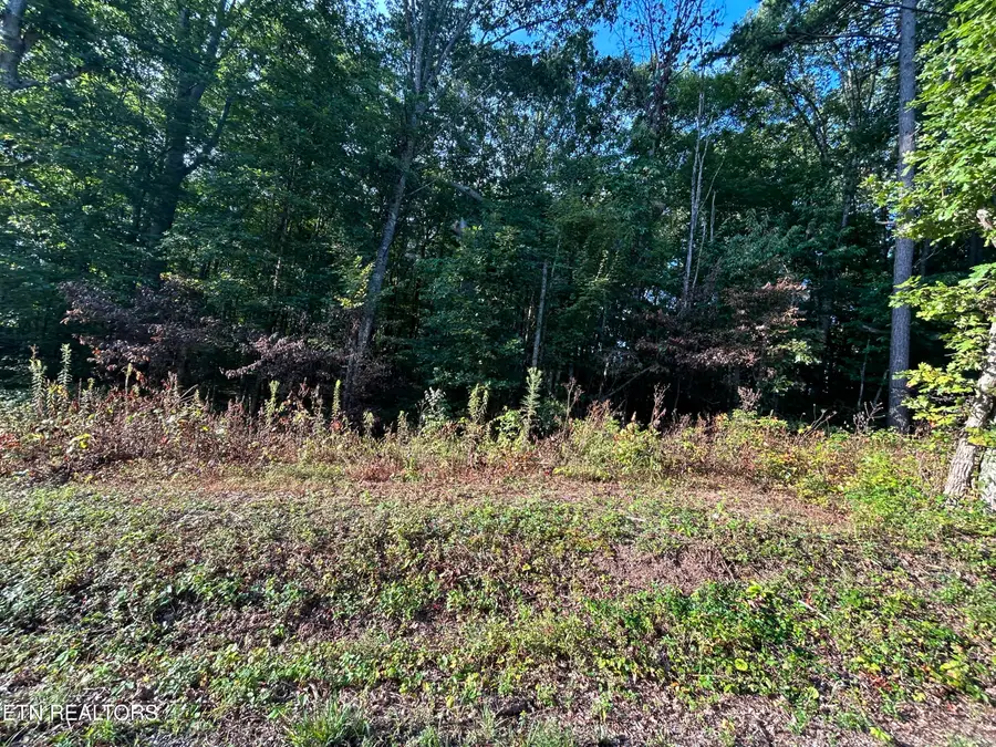 Panther Branch Road, Jamestown, TN 38556 - #3