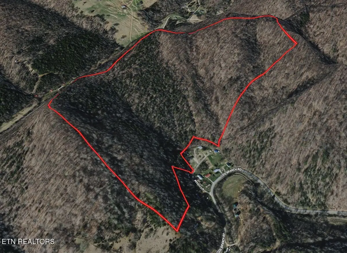 Woody Lane, Sneedville, TN 37869 - #1