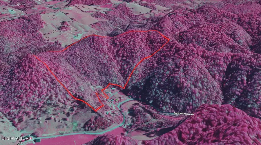 Woody Lane, Sneedville, TN 37869 - #3