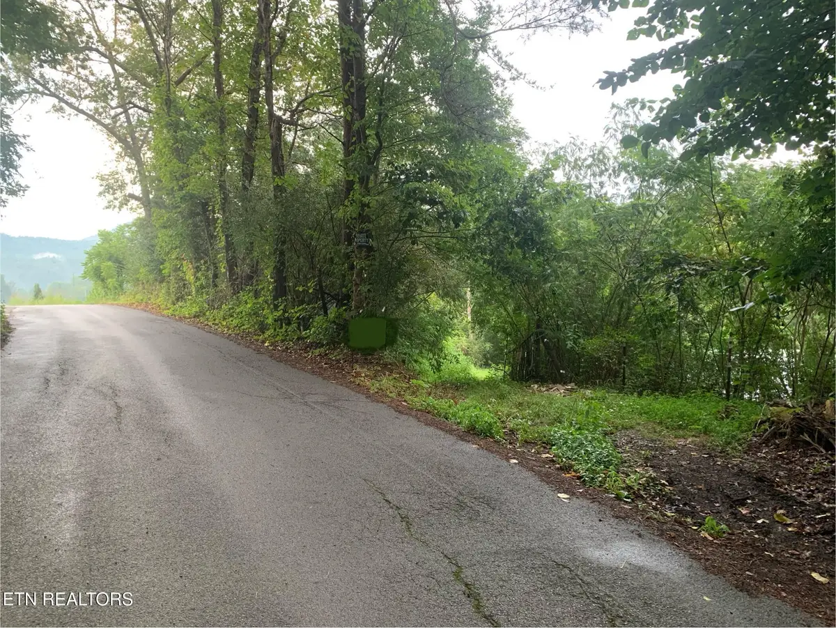 426 Rudd Hollow, Townsend, TN 37882 - #1