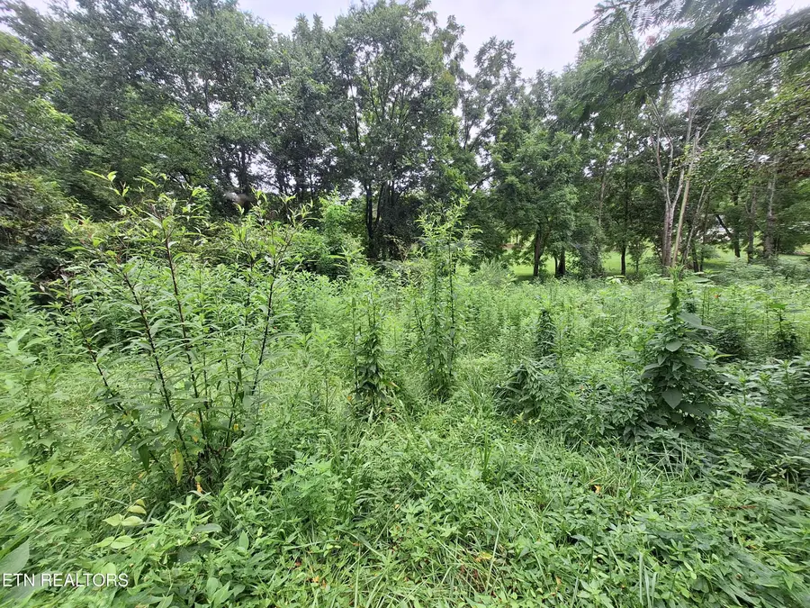 426 Rudd Hollow, Townsend, TN 37882 - #2