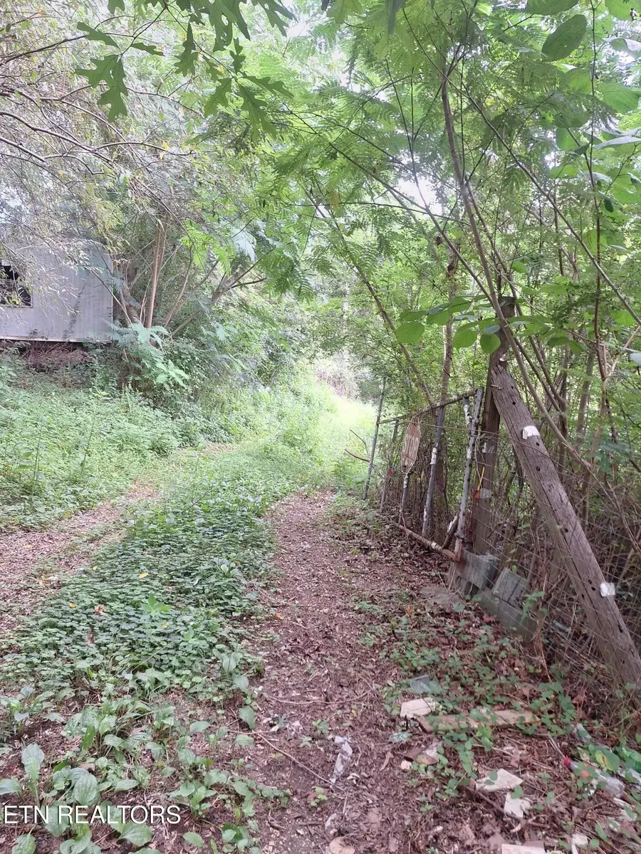 426 Rudd Hollow, Townsend, TN 37882 - #3