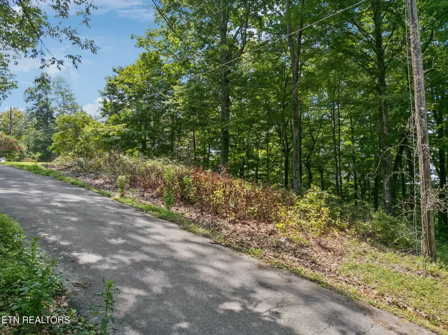 Lot 228 -river Bend Drive, Kingston, TN 37763 - #3