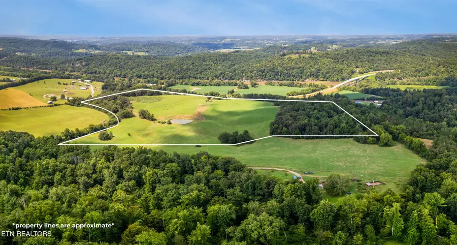 0 Pig Trot Rd, Newport, TN 37821 - #2