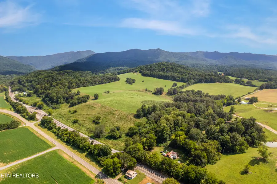 Lot 1 Pig Trot Rd, Newport, TN 37821 - #3