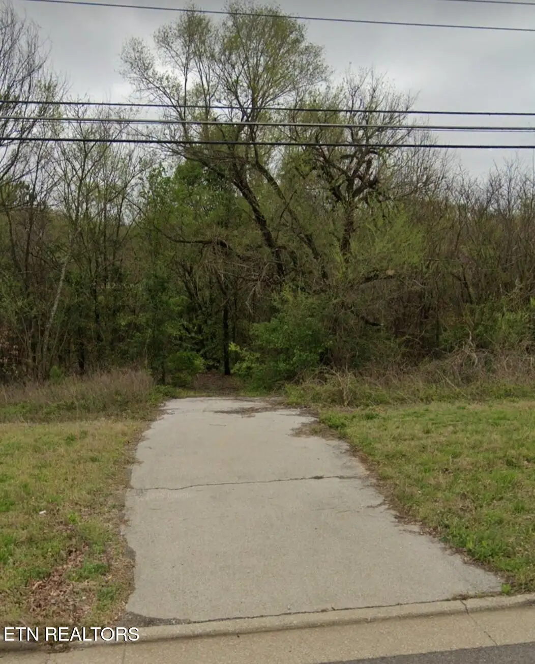 Highway 411 S., Greenback, TN 37742 - #1