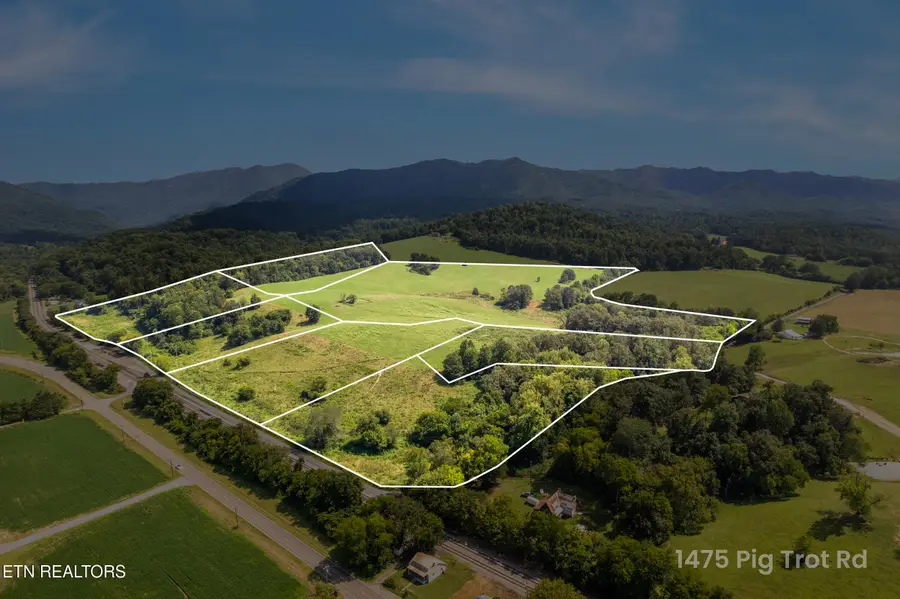 Lot 3 Pig Trot Rd, Newport, TN 37821 - #2