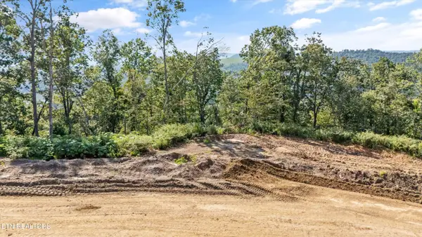 Lot 107 Sommet Ridge East, Tazewell, TN 37879
