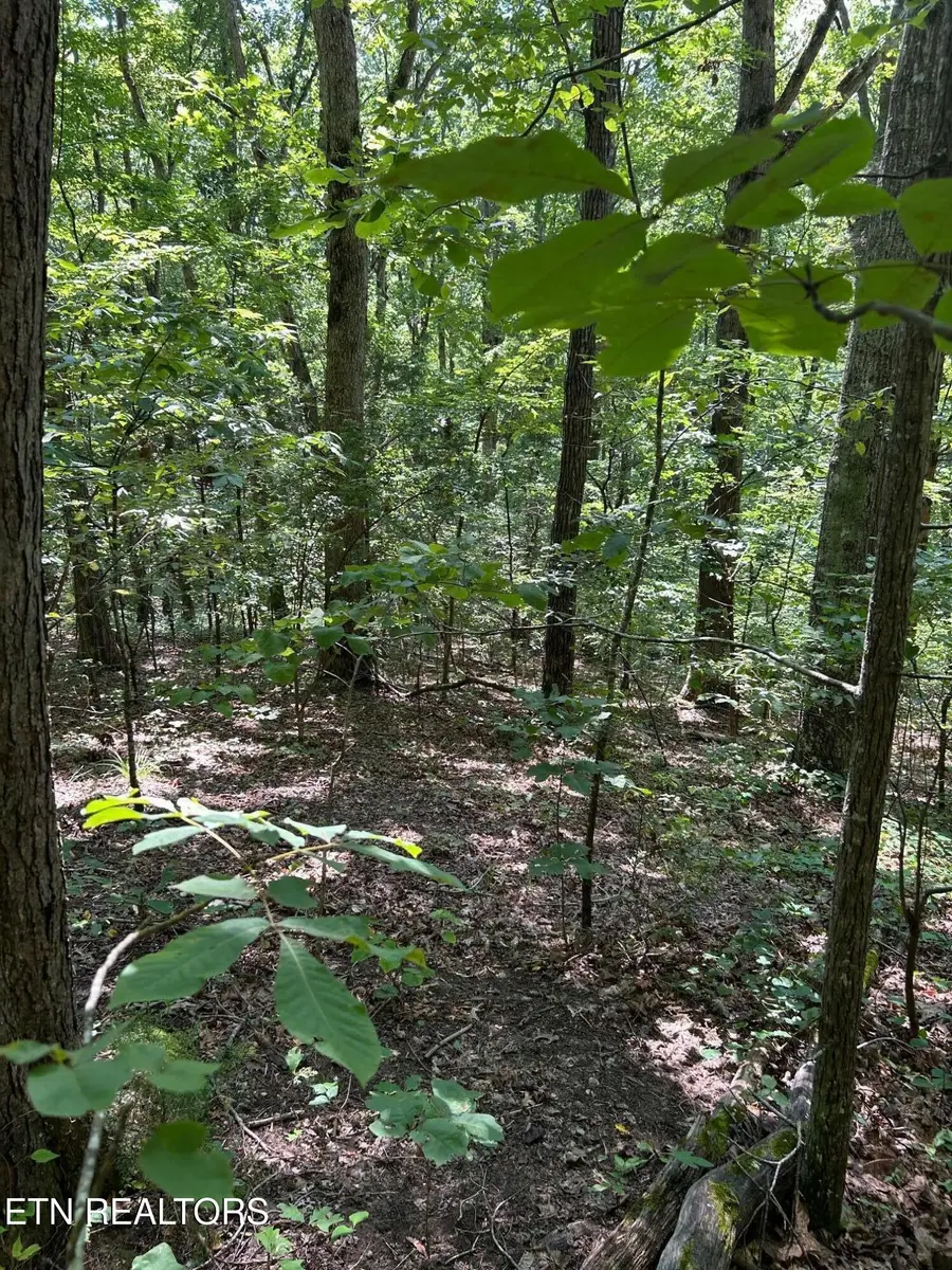 Laurel Mountain Circle, Madisonville, TN 37354 - #3