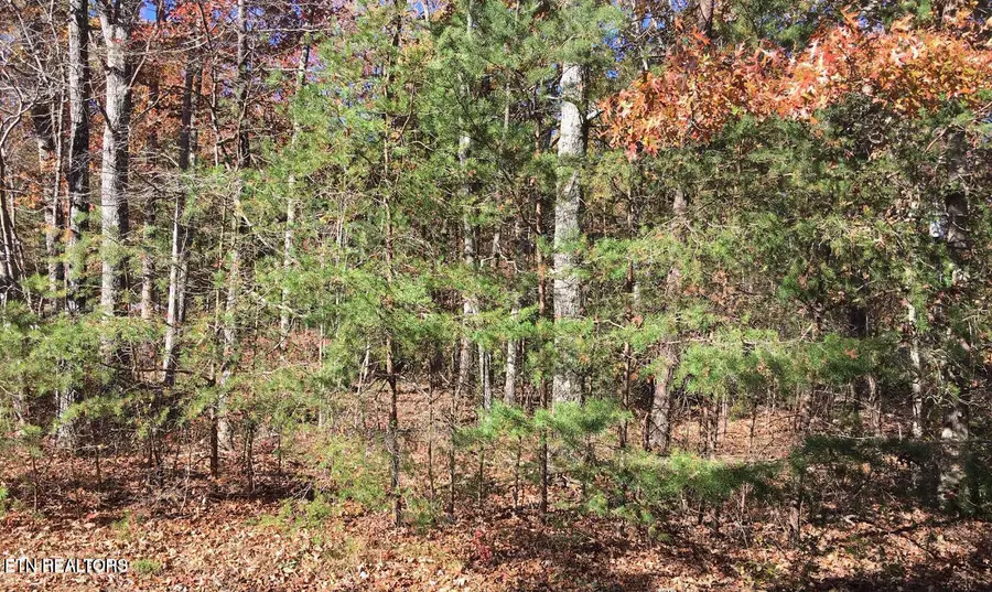 129 Monticello Lane, Crossville, TN 38558 - #2