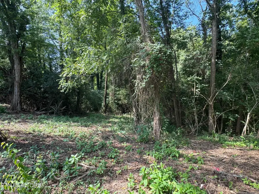 Old Wolf River Rd, Jamestown, TN 38556 - #3