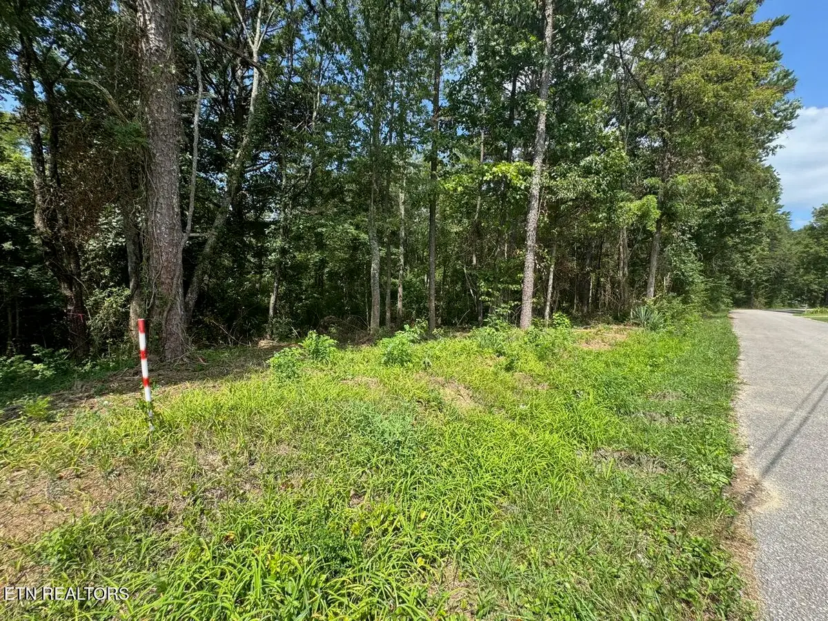 Old Wolf River Rd, Jamestown, TN 38556 - #1