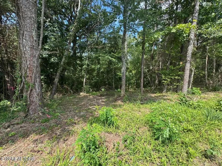 Old Wolf River Rd, Jamestown, TN 38556 - #2