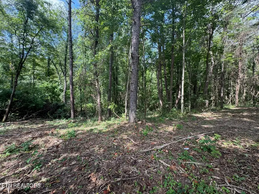 Old Wolf River Rd, Jamestown, TN 38556 - #3