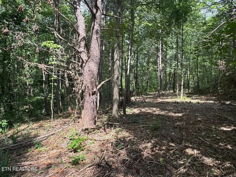 Old Wolf River Rd, Jamestown, TN 38556 - #1