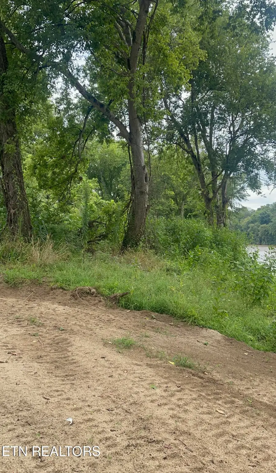 1453 River Chase Way, Newport, TN 37821 - #3