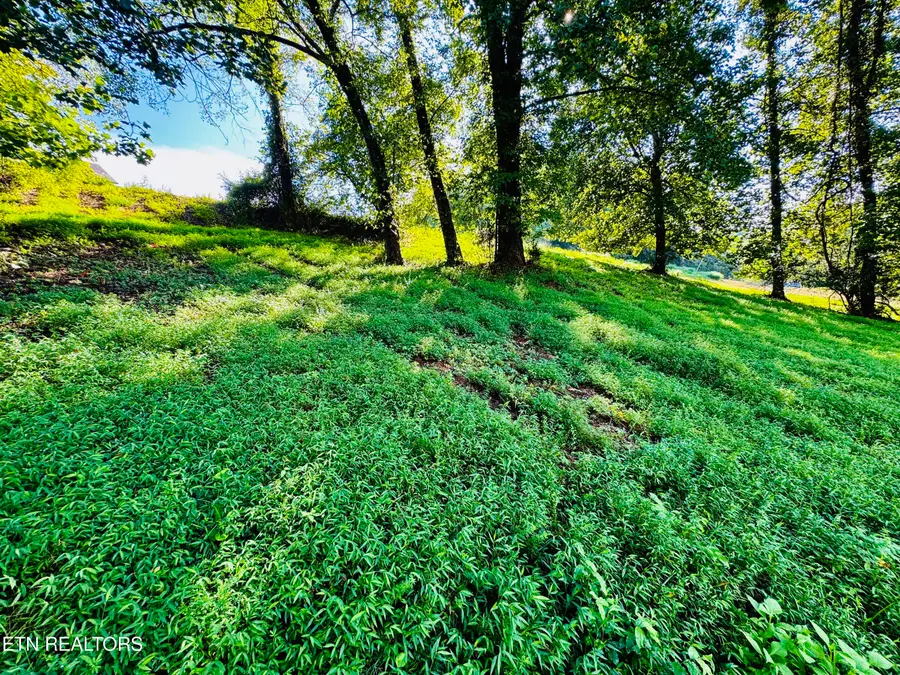 Lot 207 Clyde Ed Rd, Kodak, TN 37764 - #3