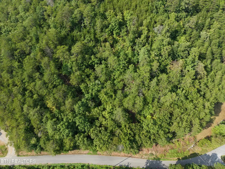 Helton Rd, Sevierville, TN 37876 - #3