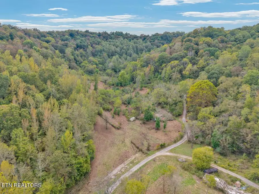 53.19AC Watts Hollow Rd, Buffalo Valley, TN 38548 - #3