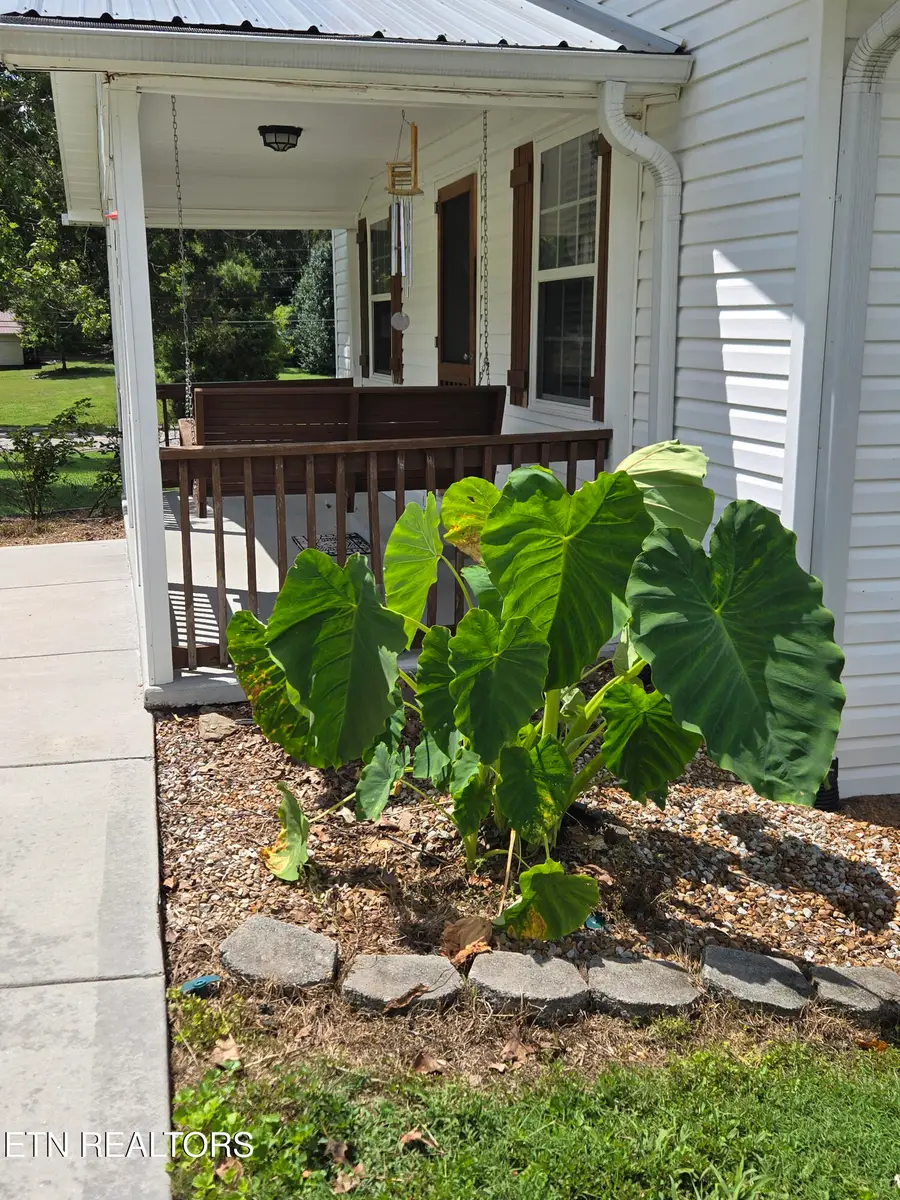 451 S Patton Ave, Rockwood, TN 37854 - #2