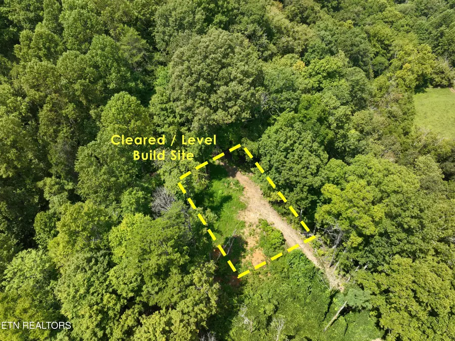 295 Archer Rd, Luttrell, TN 37779 - #3