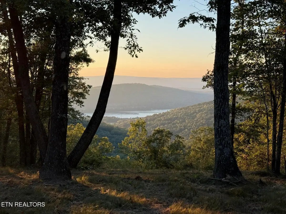 Lot 1070 Birds Eye Way, Guild, TN 37340 - #1