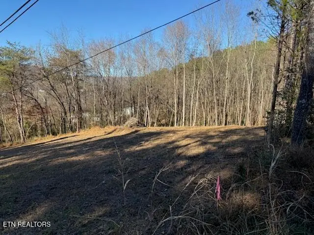 Lot 22 Moon Circle, Spring City, TN 37381 - #2