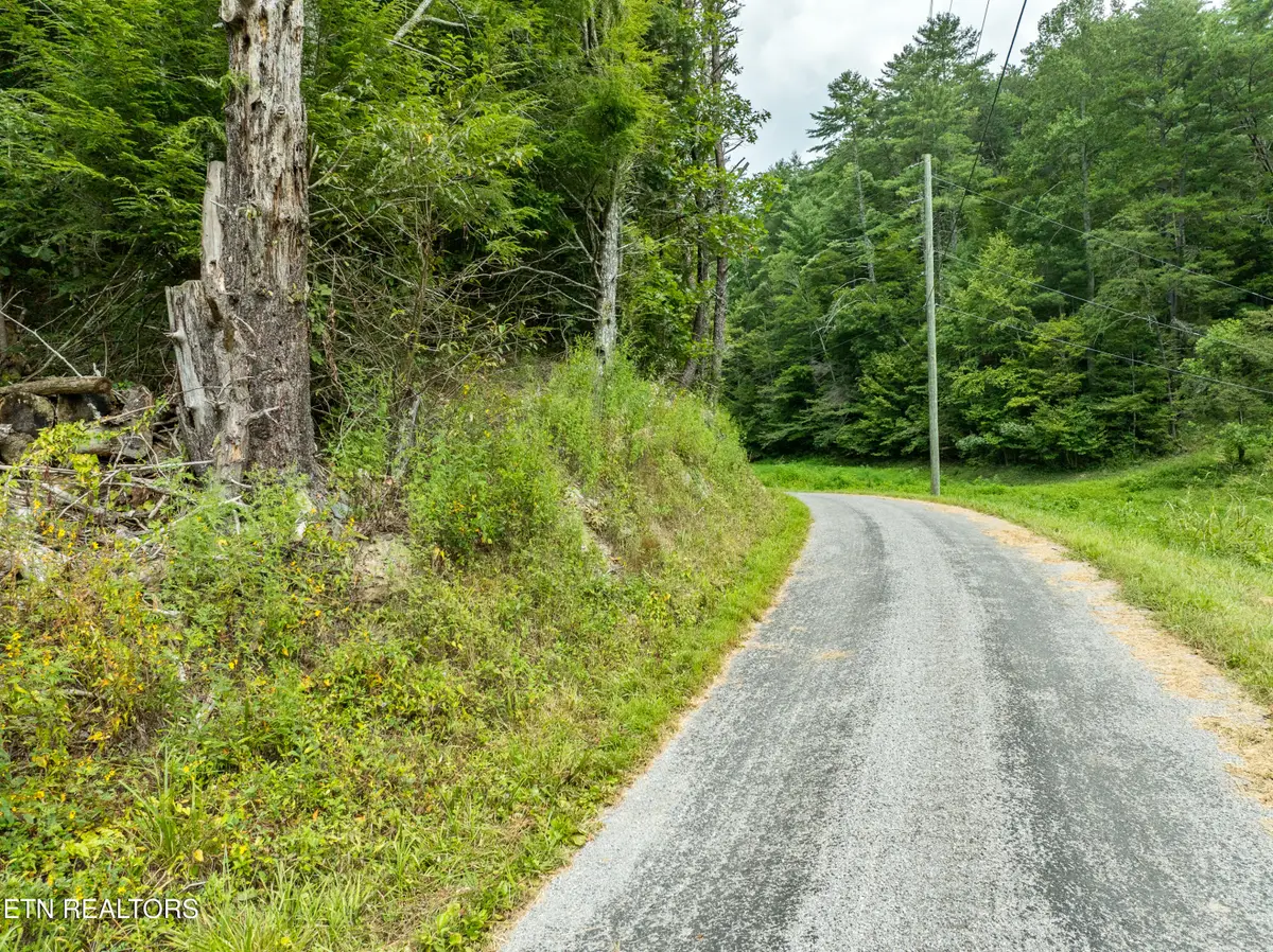288 Oosterneck Rd, Tellico Plains, TN 37385 - #1