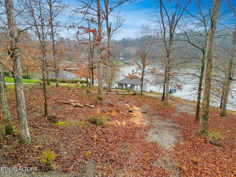 927 Windridge Rd, Friendsville, TN 37737 - #2