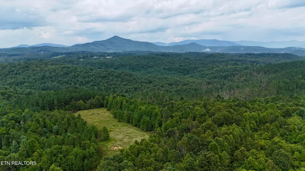 N Of Adams Ridge Rd, Lancing, TN 37770 - #1