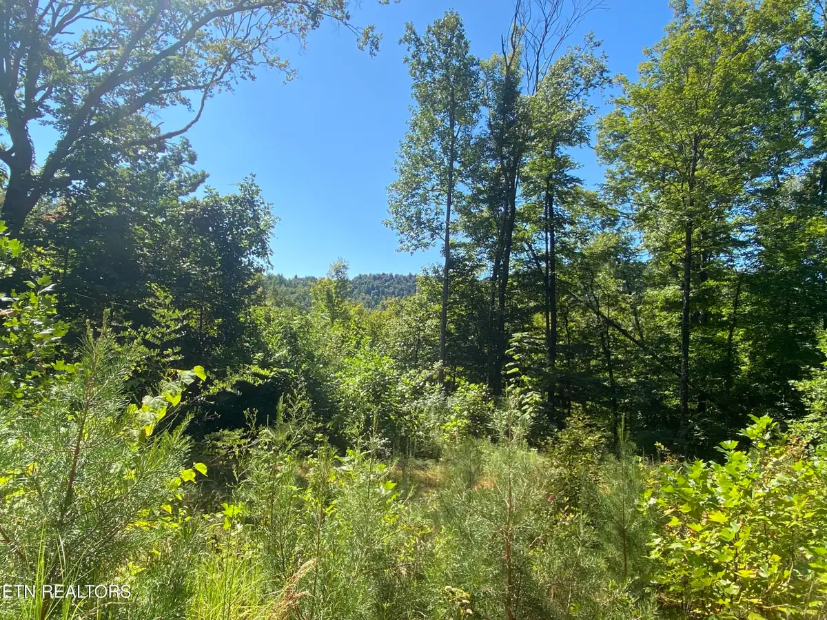 Double Top Rd, Jamestown, TN 38556 - #1