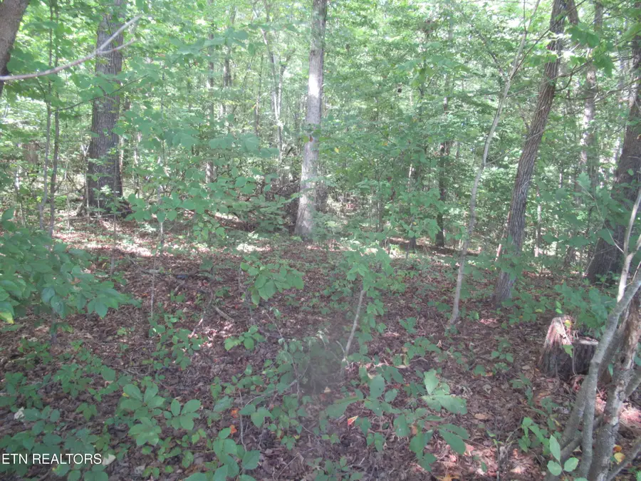 E Governor John Sevier Hwy, Knoxville, TN 37920 - #2