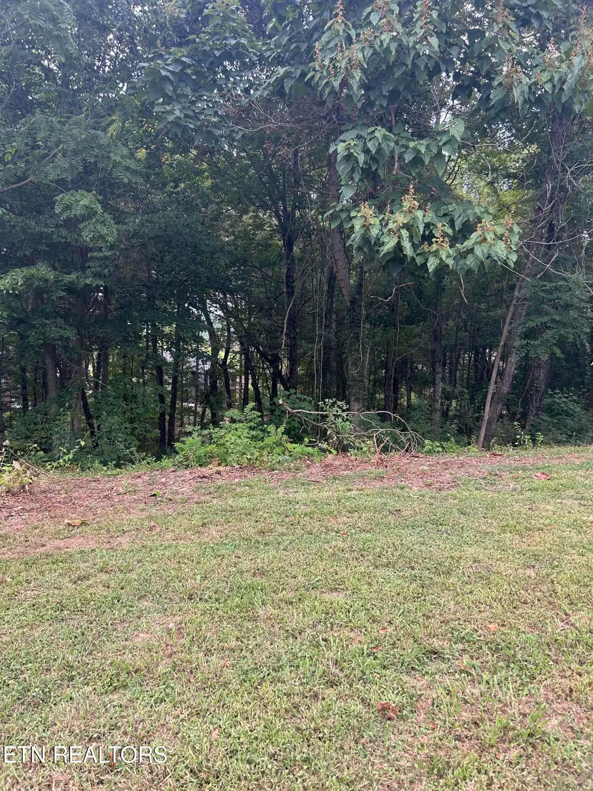 Lot 4 St James Lane, Clinton, TN 37716 - #1