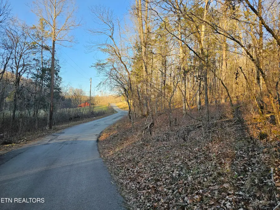 Blue Springs Rd, Speedwell, TN 37870 - #2