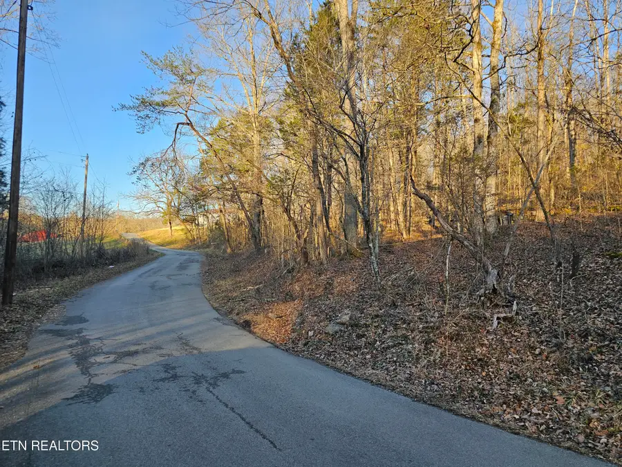 Blue Springs Rd, Speedwell, TN 37870 - #3