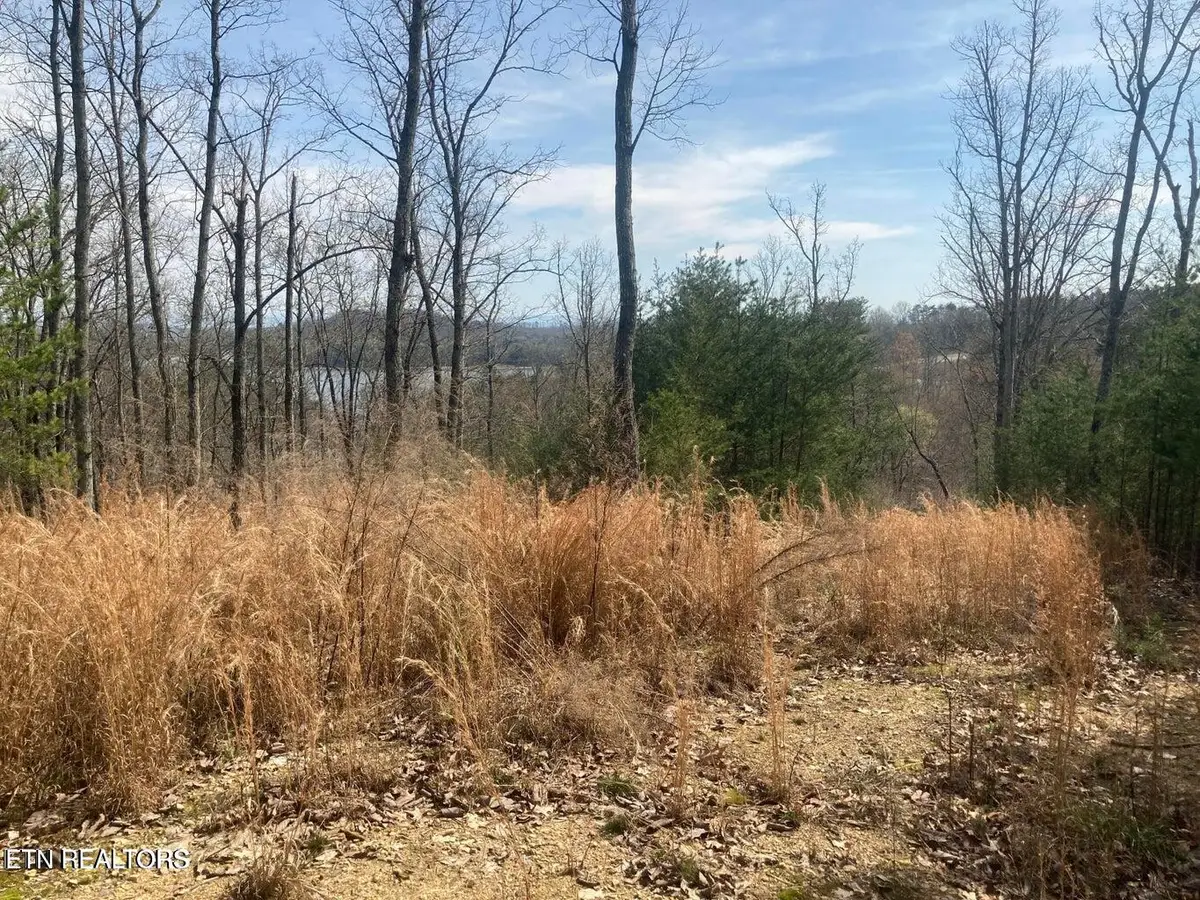 1310 N Wilkerson Rd, Knoxville, TN 37922 - #1