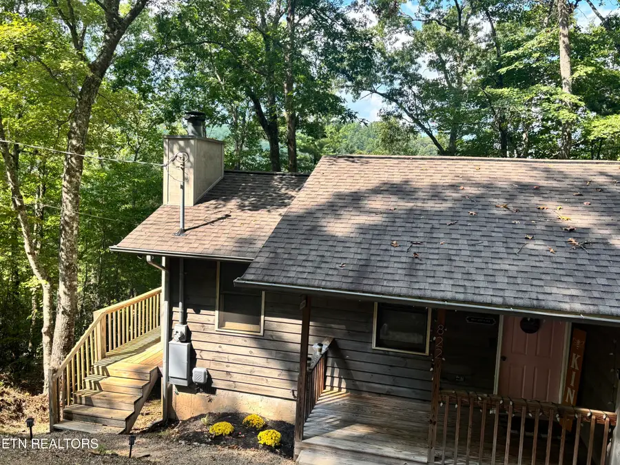 822 Christy Lane, Townsend, TN 37882 - #3